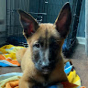 Meet your Posher, Kira